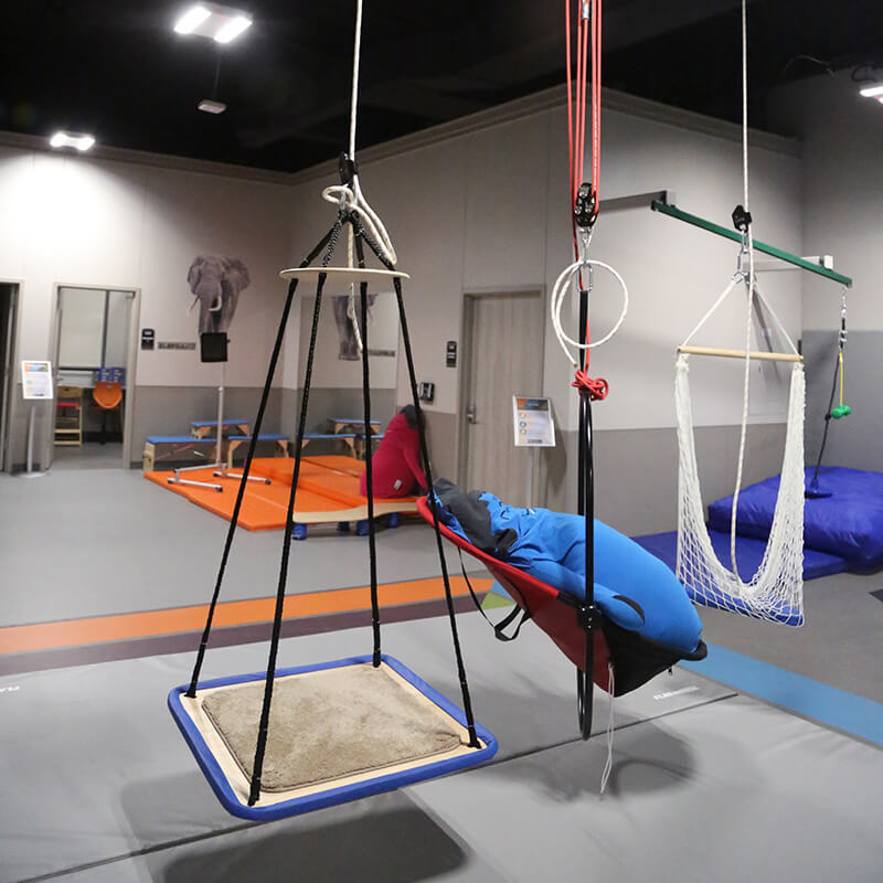 pediatric gym swing 