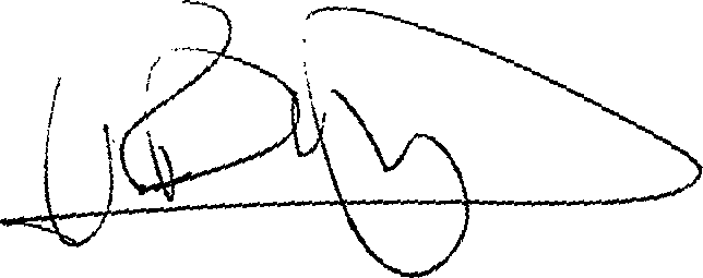 Rob Wiley Signature